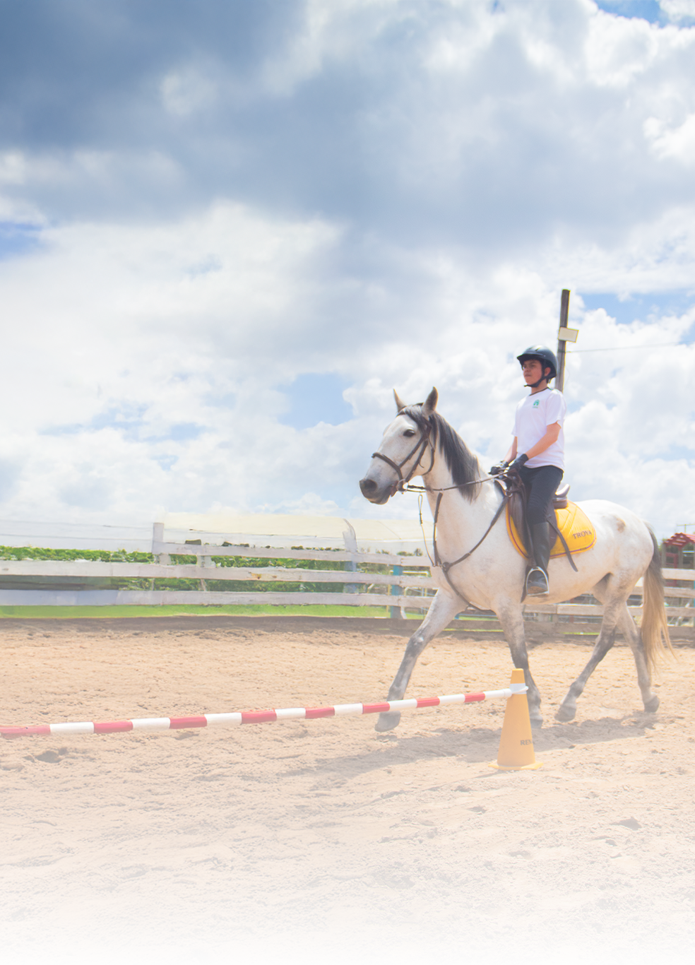 Equitacion-2