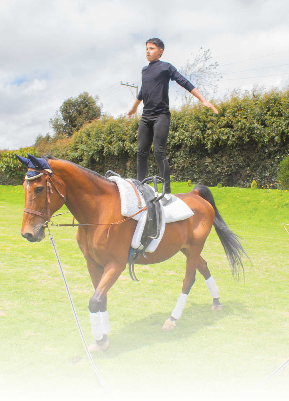 Vaulting-1