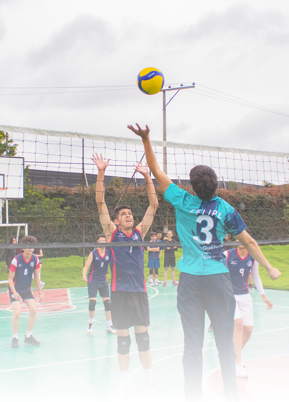 Voleibol